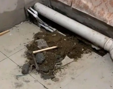 瀍河卫生间漏水检测哪家好